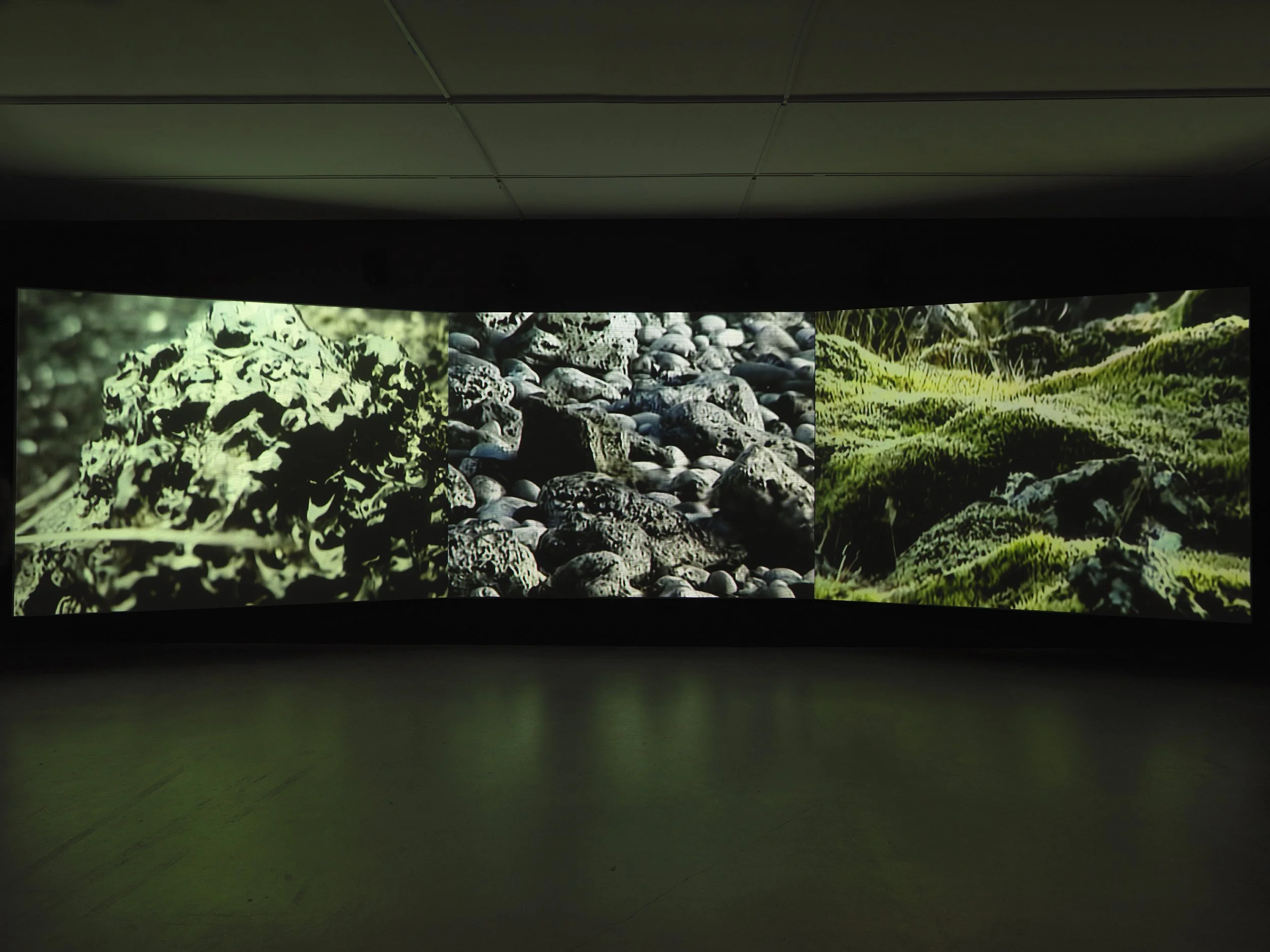 The Art of Landscapes — Cornelia Magazine